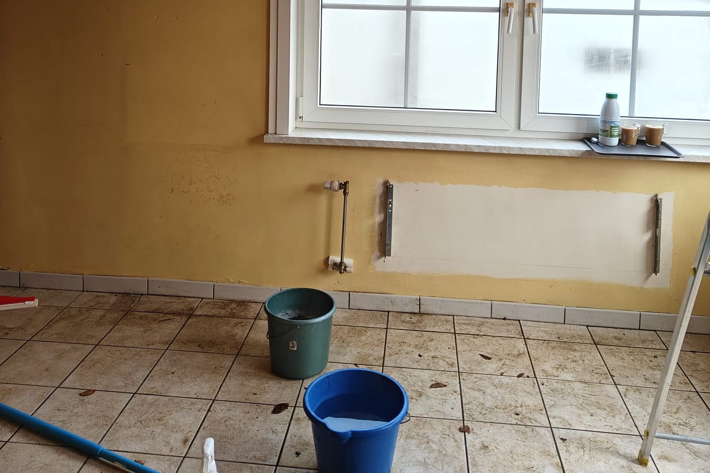 Blinkuis aan het werk tijdens een grondige reiniging